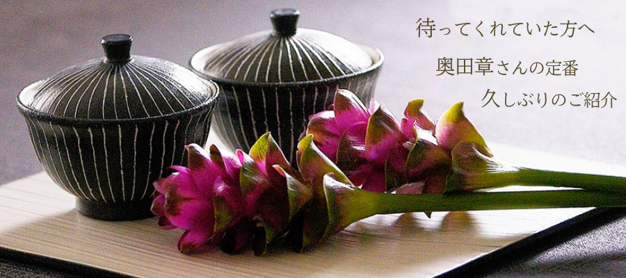 奥田章 新品 奥田章 トクサ 角皿（L）4枚 奥田章 食器 3枚